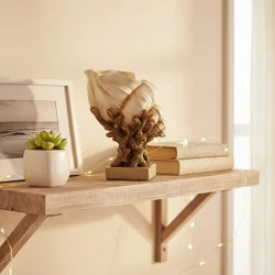 Dekoratif Deniz Kabuğu Mercan Biblo 24x28cm - 2