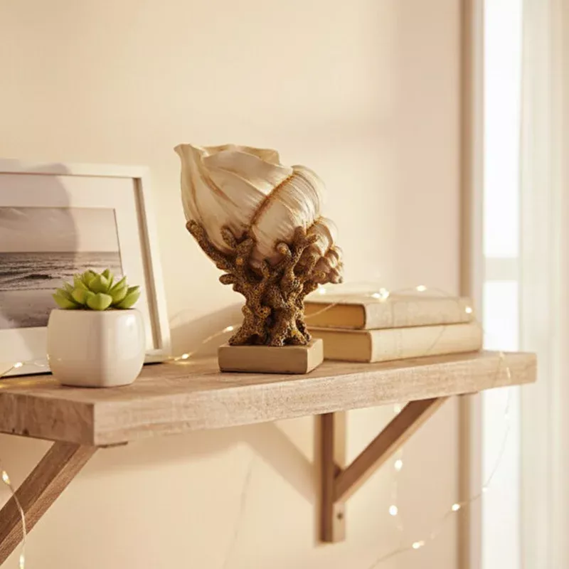 Dekoratif Deniz Kabuğu Mercan Biblo 24x28cm - 2