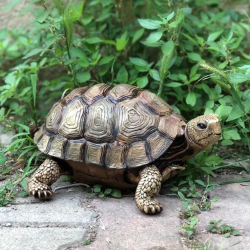 Kaplumbağa Heykeli Biblo 32x24 cm - 1