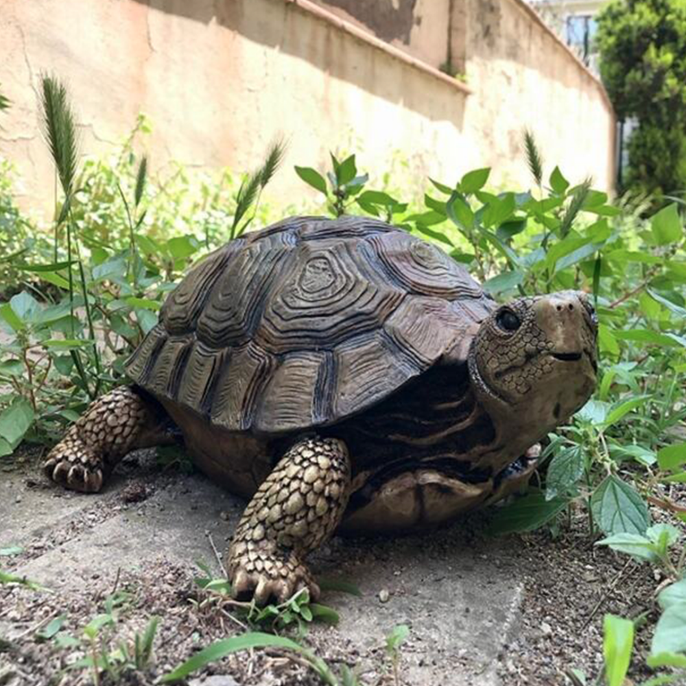 Kaplumbağa Heykeli Biblo 32x24 cm - 2